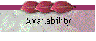 Availability