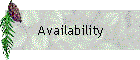Availability